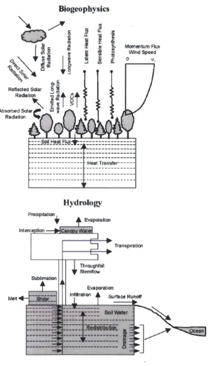 Figure  3-5:  The biophysical  and hydrological  processes  simulated in the Community  Land Model  (Oleson et al., 2004).
