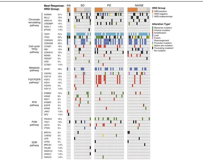 Fig. 4 Genetic alterations in select pathways. Oncoprint generated from 64 tumor samples with sequencing data