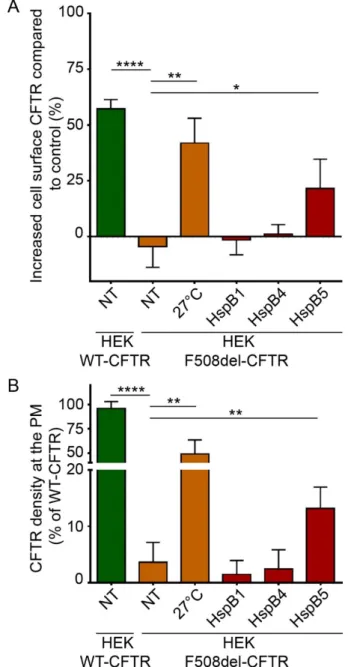 Figure  3.  Impact  of  overexpression  of  HspB1,  HspB4,  or  HspB5  on  localization  at  the  plasma  membrane (PM) of F508del‐CFTR in human embryonic kidney HEK293 GripTite (HEK) cells. HEK  cells  stably  expressing  F508del‐CFTR‐3HA  were  transfect