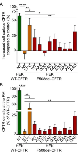 Figure 4. Phosphorylation‐dependent ability of HspB5 to rescue the PM localization of F508del‐CFTR  in HEK293  GripTite cells. HEK293  GripTite  (HEK) cells stably expressing F508del‐CFTR‐3HA were  transfected with phosphomimetic mutant of HspB5 constructs