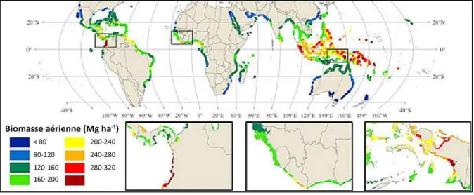 Figure  I-8  :  Carte  mondiale  des  stocks  de  carbone  par  unité  de  surface  liés  à  la  biomasse  aérienne