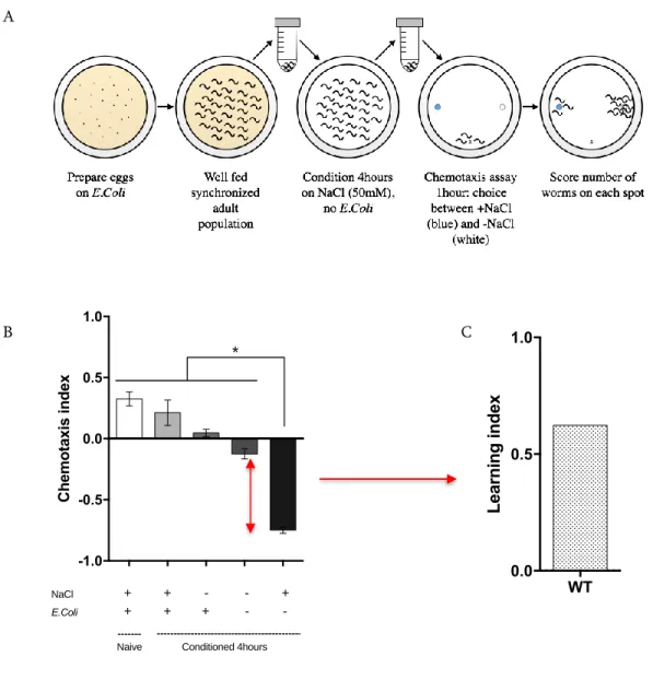 Figure 2.4: Optimization of the short-term NaCl negative association assay 