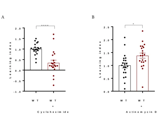 Figure 3.1: Behavioral plasticity in the NaCl based assay requires translation but not transcription 