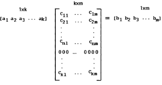 Figure  2.  Matrix  multiplication  showing  a  change  of coordinates  from event  space  to  cultural  space