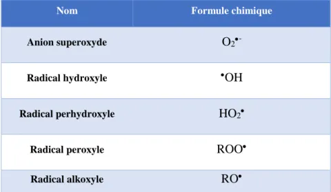 Table I 1. Espèces radicalaires de l’oxygène. 