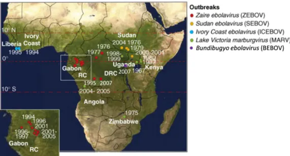 Figure  6  –  Localisation,  année  d’occurrence,  et  virus  concerné  par  les  épidémies  humaines à filovirus recensées 