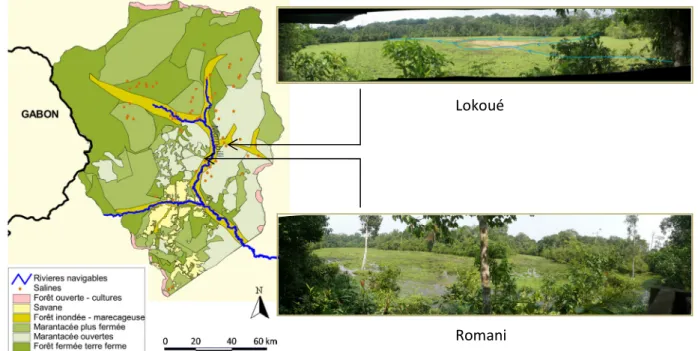 Figure 9 – Cartographie des différents types d’habitat constituant le PNOK (P. Ngouembé, 2010) et  positionnement des salines Lokoué et Romani 