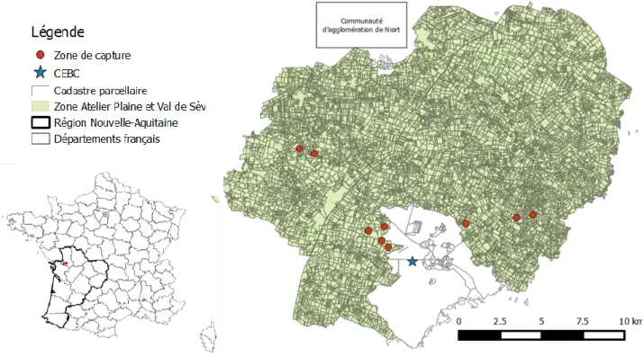Figure 13 : Localisation géographique de la Zone Atelier « Plaine et Val de Sèvre » 