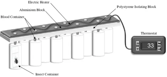 Figure 1.  Artificial feeder used to test the behavioural response to heat and the motivation to feed of 5 th  instar  larvae of Rhodnius prolixus
