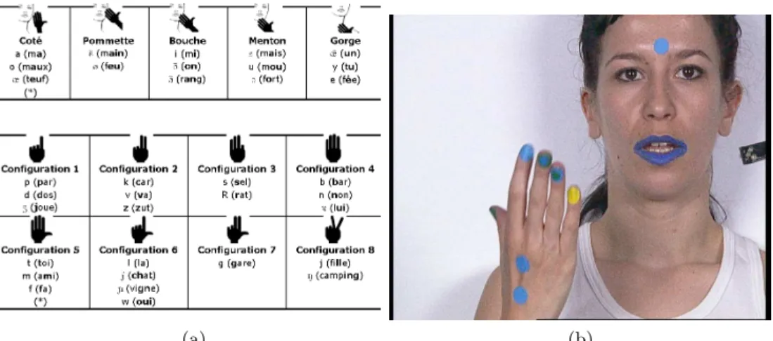 Fig. 1: (a) Hand positions for vowels (top) and handshapes for consonants (bottom). (b) A normal-hearing cuer and the colored landmarks used for features extraction.
