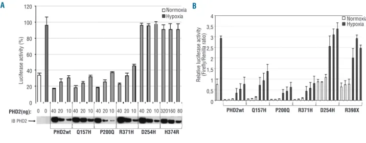Figure 2. Functional study of PHD2 mutants using luciferase reporter assays. (A) PHD2-dependent regulation of endogenous HIF in an assay based  on  a  hypoxia  response  element  reporter  gene