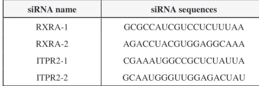 Table 3. Sequences of siRNAs in siRNA pools used in this study (4 siRNAs per pool). 
