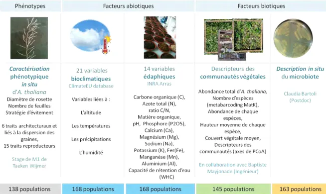 Figure  1:  Caractérisations  phénotypiques  et  écologiques  de  populations  naturelles  d’A