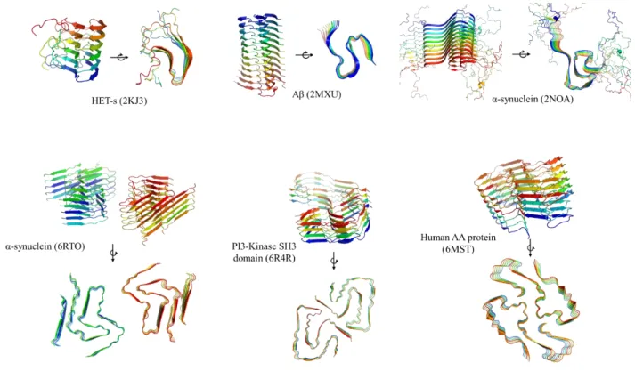 Fig. 6. Examples of high-resolution structures of amyloid fibers from the PDB  database