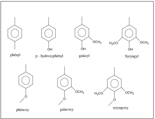 Figure 1. 6 : Nomenclature des résidus communs dans la chimie des lignines 