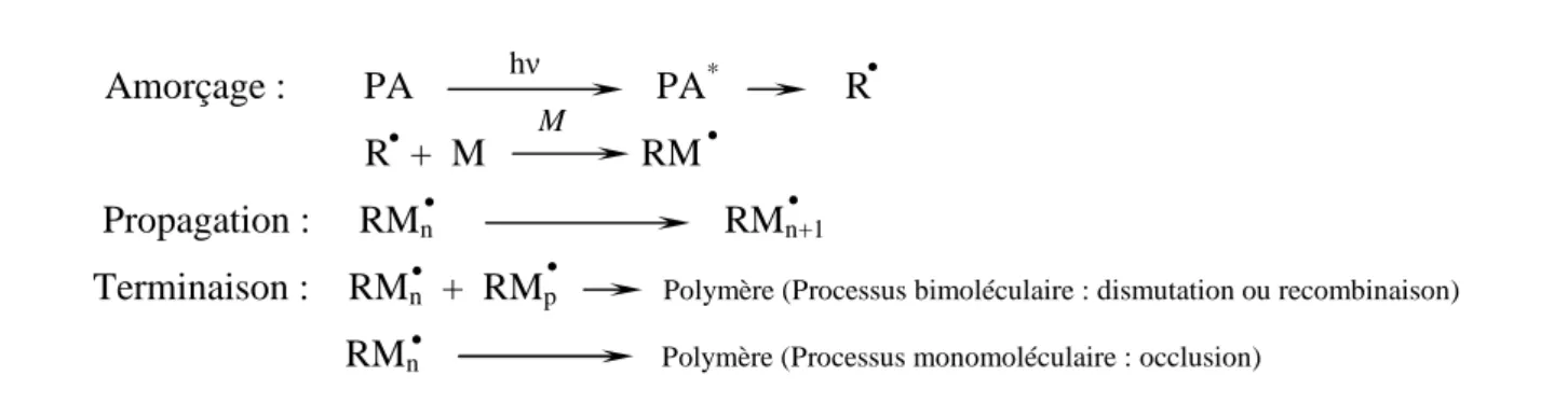 Figure 1. 16 : Différentes étapes d’une polymérisation radicalaire amorcée par voie  photochimique 