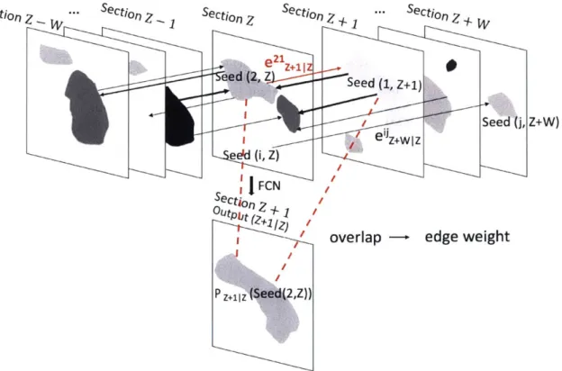 Figure  1-5:  A  schematic  view  of  a  global  merge  decision.  The  edge  weight  between seed  i and  seed  j  at  sections  Z  and  Z+W,  respectively
