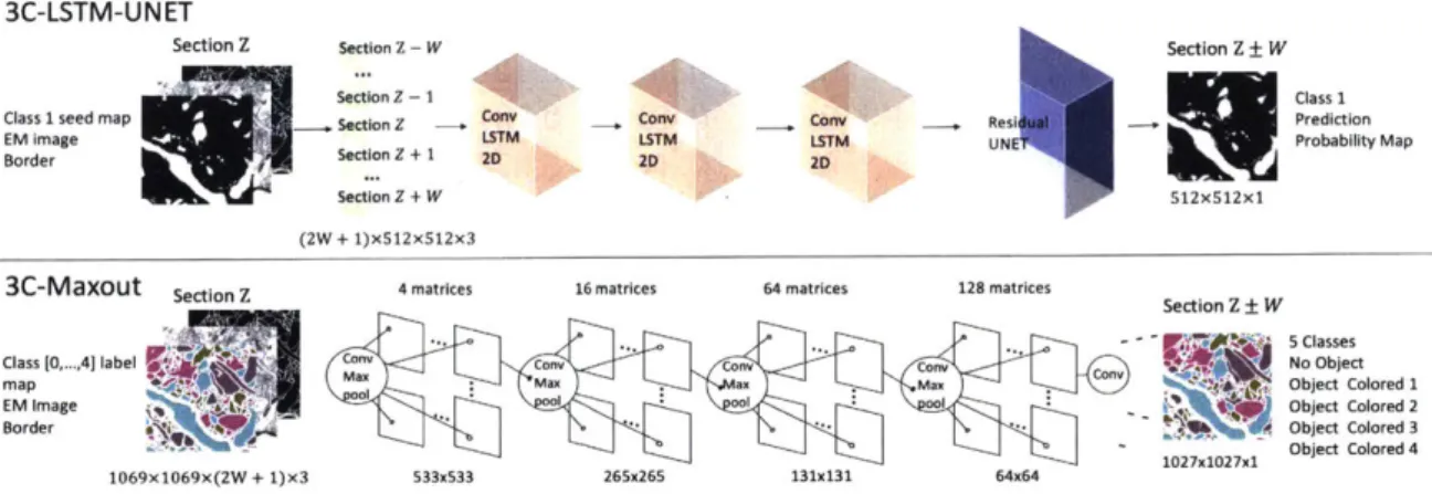 Figure  2-2:  A  schematic  view  of  the  3C  networks.  The  input  layers  have  3  channels of  the  raw  image,  seed  mask  and  border  probability,  for  2W+1  consecutive  sections (images)