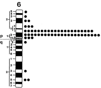FIG. 3. Idiogram of the human G-banded chromosome 6 illustrat- illustrat-ing distribution of the labeled sites with the human pTa probe.