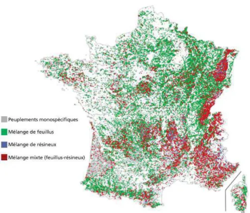 Figure 7. Composition des forêts mélangées en France métropolitaine  (IGN, 2016) 