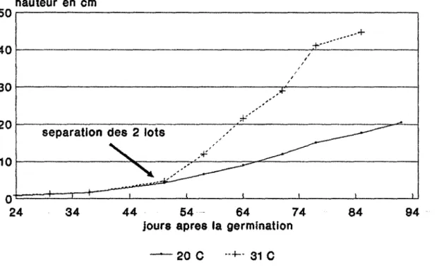 Figure  29  Evolution  du  phyllochrone  chez  psoralea  cinerea  selon  les  traitements  thermiques 