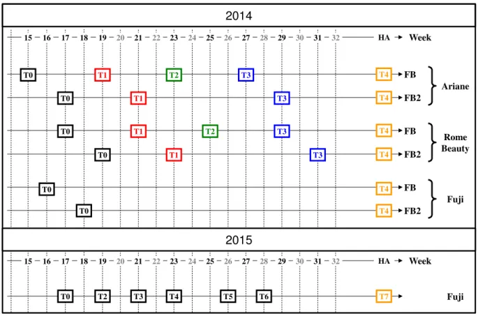 Figure 2. Schedule of the sampling dates for ‘Ariane’ (AR), ‘Fuji’ (FU) and ‘Rome Beauty’ (RB) in  2014 and 2015, respectively