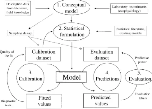Figure 1.2 : Etapes successives dans la construction d’un modèle (étapes de 1 à 5) quand deux jeux  de données sont disponibles : un jeu de données pour calibrer le modèle et un autre pour le valider