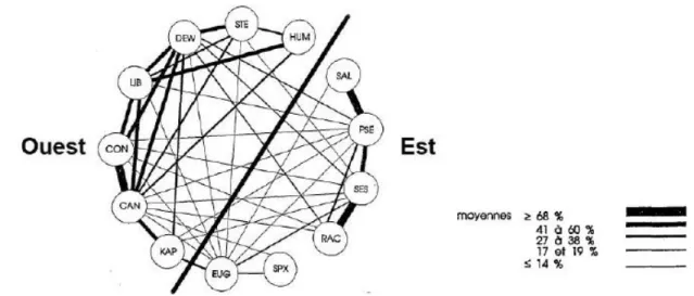 Figure 2.2 : Relations cytogénétiques entre espèces de caféiers selon Louarn (1992). Plus le trait qui  relie deux espèces est épais, plus le pourcentage d’hybrides fertiles est élevé, donc plus les espèces  sont considérées proches