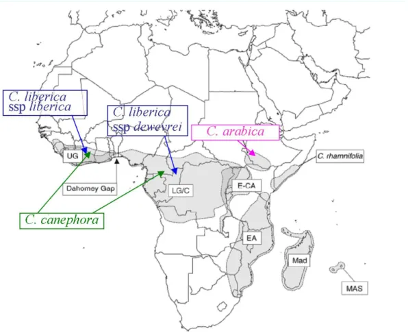 Figure 2.4 : Distributions naturelles des espèces en Afrique selon Maurin et al (2007) 