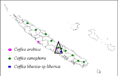 Figure  2.8 :  Distribution  des  trois  espèces  (au  sein  de  plantations  abandonnées)  en   Nouvelle-Calédonie  selon  les  prospections  de Daniel Le Pièrres (1999) 