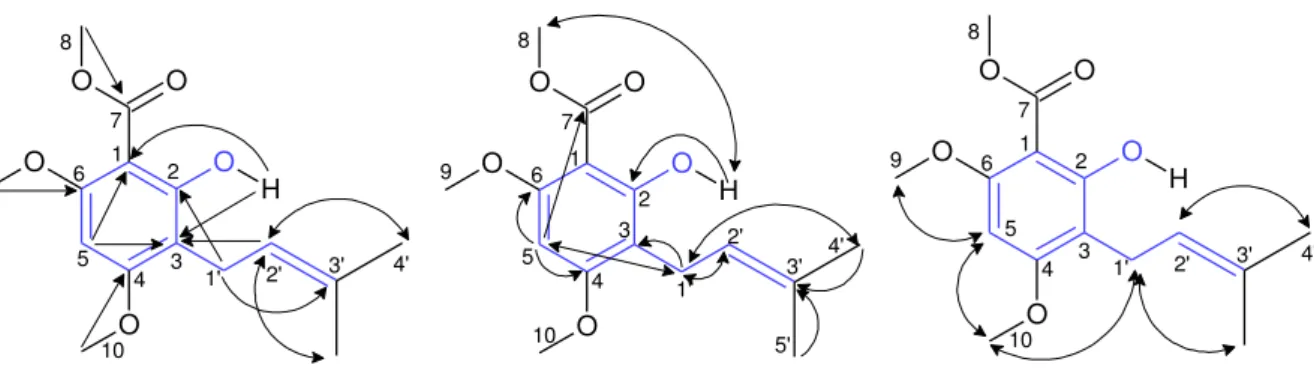 Figure 21 : 2-hydroxy-4,6-diméthoxy-3- (γ’ -méthyl- β’ -butènyl)-benzoate de méthyl (74) : à  gauche : corrélations  3 J  H→C observées sur le spectre HMBC; au milieu  : corrélations  2 J et  4 J 