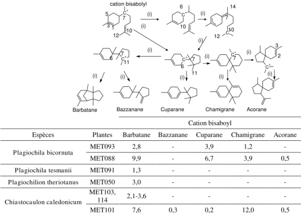 Tableau 10 : Composition des espèces de la famille Plagiochilaceae en composés  sesquiterpéniques affiliées au cation bisabolyl (pourcentage relatif) ((i) : [69]) 