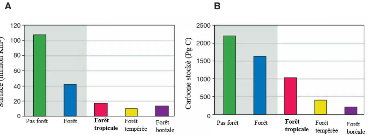 Fig.  1 :  Surface  (A)  et  carbone  aérien  total  (B)  stocké  par  les  biomes  non  forêts  (verts)  et  forêts (bleus)