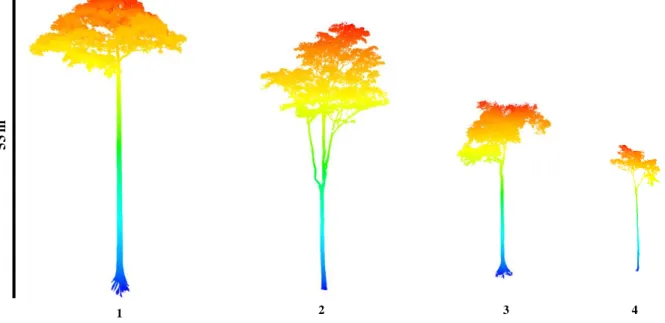 Fig. 7 : Visualisation des nuages de points 3D scannés représentant certains arbres d’intérêts  (Momo Takoudjou et al., 2018)