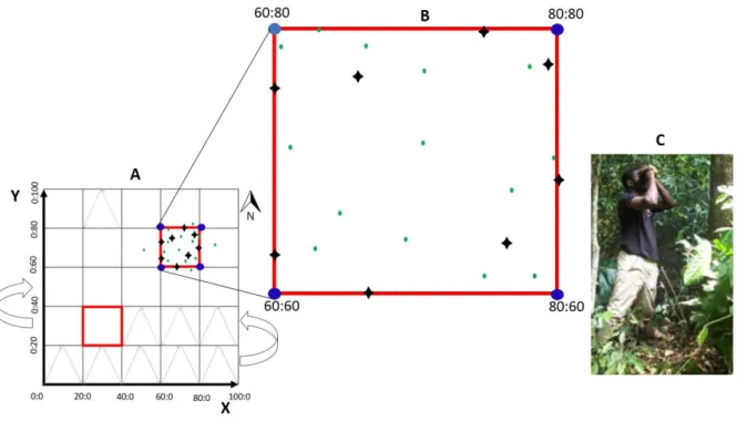 Fig. 11 : Dispositif de mise en place de parcelle d’un-hectare et technique d’échantillonnage  LiDAR terrestre réalisée