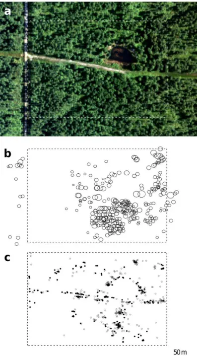 Figure  1.  Aerial  photograph  of  the  study  area  (a),  locations  of  adult  oak  trees  with  circle  sizes proportional to their diameter at breast height (b), and locations of seedlings sampled  with  filled  circles  indicating  individuals  that 