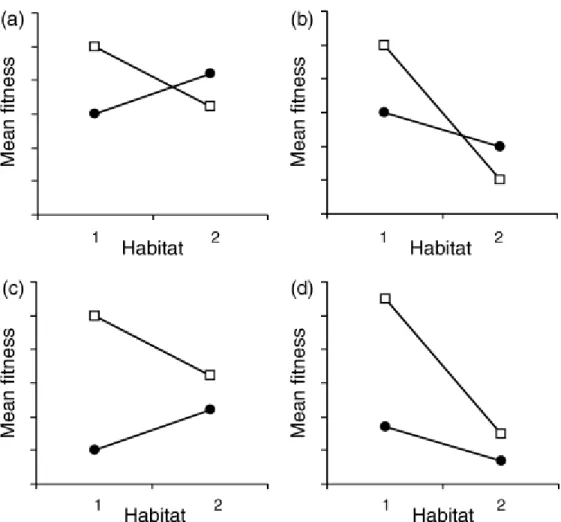 Figure 3. Hypothetical patterns of deme × habitat interaction for fitness. Squares: the average  of demes originating from habitat 1; circles: the average of demes originating from habitat 2