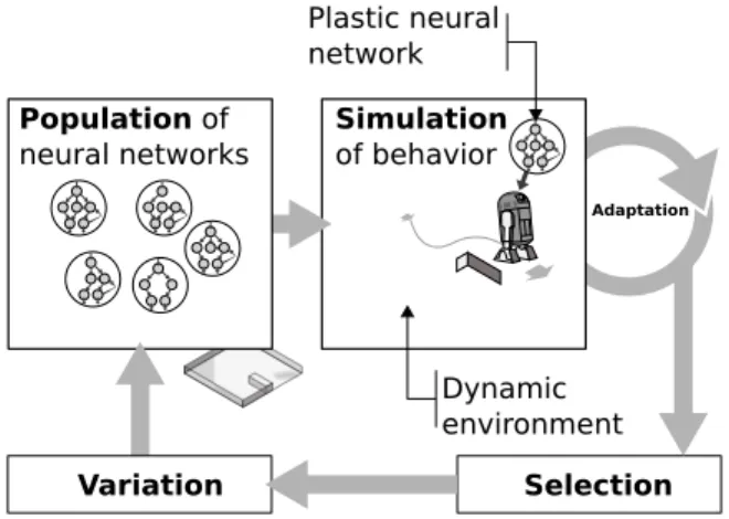 Fig. 1 The artificial evolution of plastic neural networks relies on the classic evolutionary loop used in neuro-evolution
