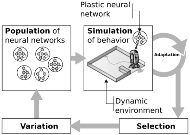 Fig. 1 The artificial evolution of plastic neural networks relies on the classic evolutionary loop used in neuro-evolution