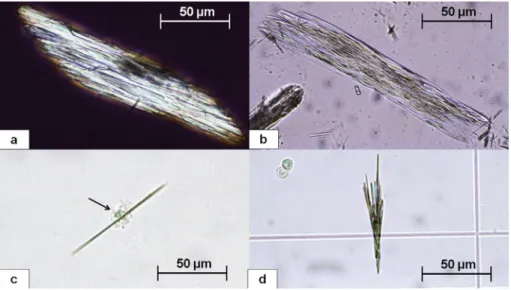 Fig. 25. Needle-shaped crystals of aciclovir (polarizing microscopy).