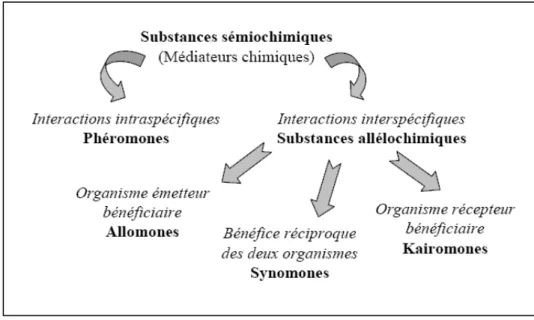 Figure I-6. Les différentes catégories de médiateurs chimiques. 