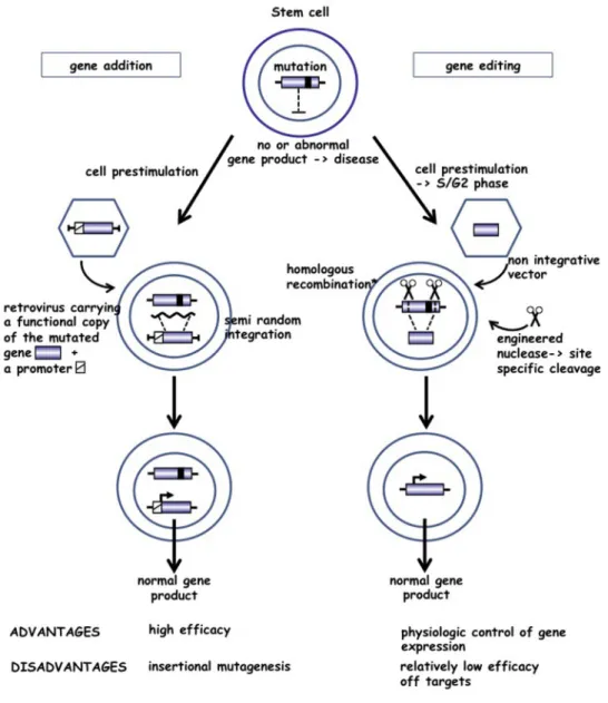Fig. 1. Two strategies for gene therapy: gene addition and gene editing.