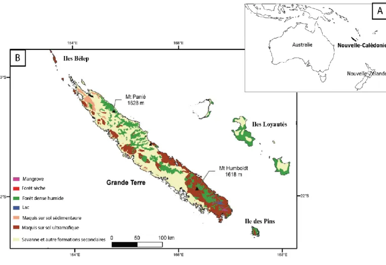 Figure  1 :  Localisation  de  la  Nouvelle-Calédonie  dans  le  sud-ouest  de  l’océan  Pacifique  (A)  et  distribution des principaux types de végétation (B)
