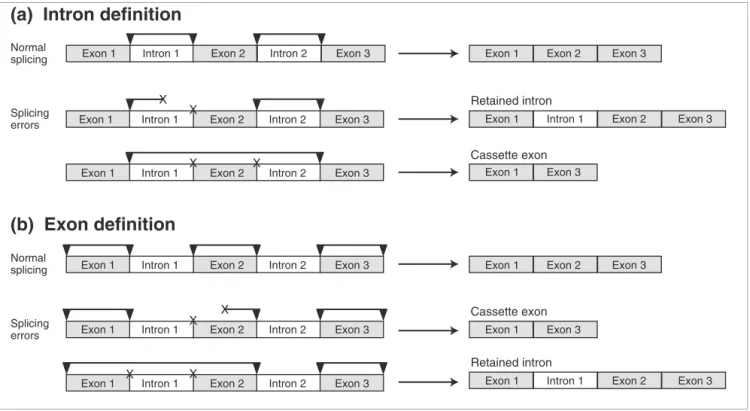 Figure 2 illustrates the relative proportions of the four differ- differ-ent kinds of splice variants in each organism, along with  pre-viously published data for human for comparison [8]