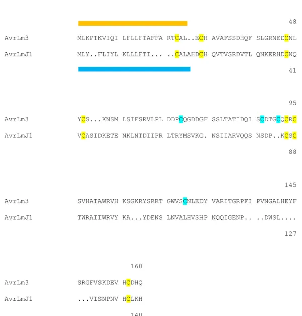 Fig. S4 Sequence alignment between the avirulence proteins AvrLm3 and AvrLmJ1 of  Leptosphaeria maculans