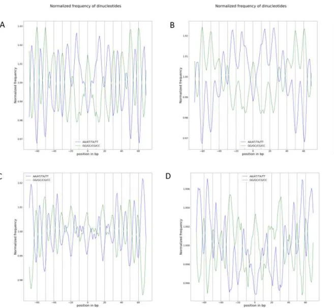 Figure  4:  Repeated  di-nucleotide  patterns  in  nucleosomal  DNA. Normalised  di-nucleotides  frequency  plots (average of three biological replicates) for L