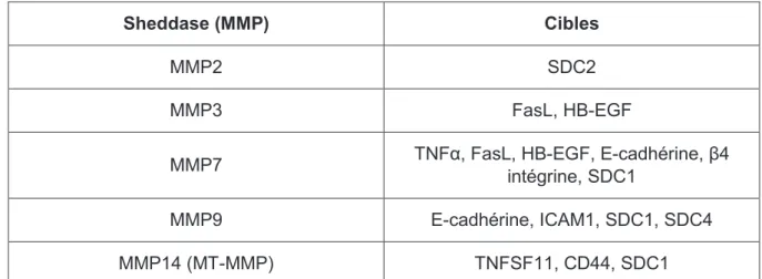 Figure 19 : Exemple de métalloprotéases impliquées dans le shedding de divers substrats