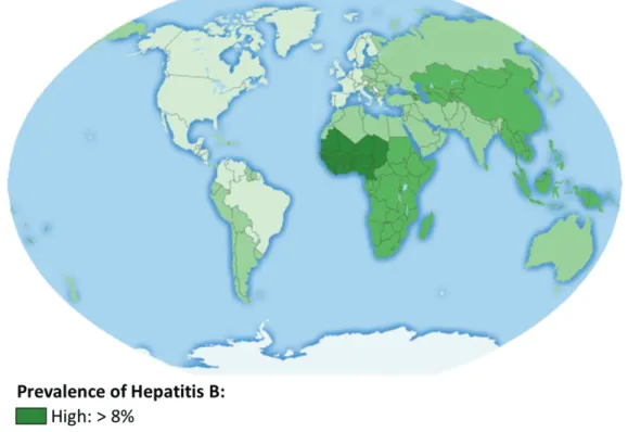 Figure 1: Seroprevalence of Hepatitis B virus infection worldwide (adapted from CDC, 2016)