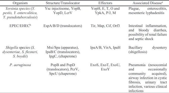 Table 5: Examples of T3SSs and substrates in different bacterial pathogens  (Coburn et al., 2007)  Organism  Structure/Translocator  Effectors  Associated Disease a  Yersinia species (Y