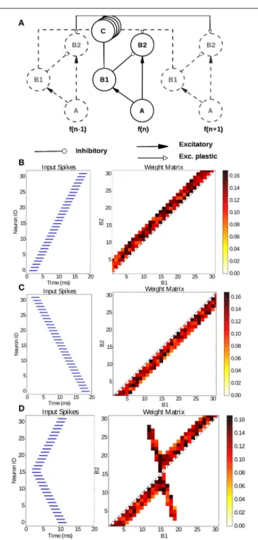 FIGURE 9 | Learning sub-millisecond time patterns. (A) Network structure: input spikes are produced by neurons A, which represent frequency channels of a simulated silicon cochlea; they drive neurons B1 and B2 with excitatory synapses; B1 is connected to t